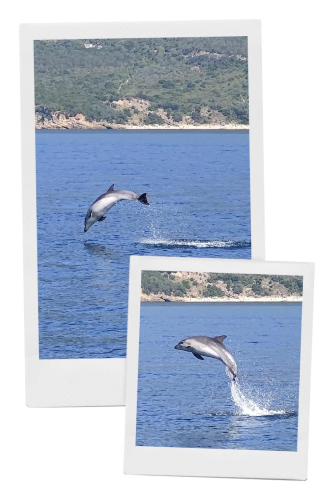 Apartmán Yvonne'S Bela Vista Sesimbra Exteriér fotografie