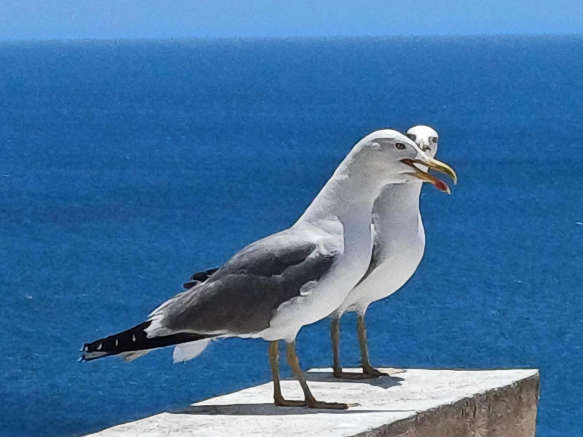 Apartmán Yvonne'S Bela Vista Sesimbra Exteriér fotografie